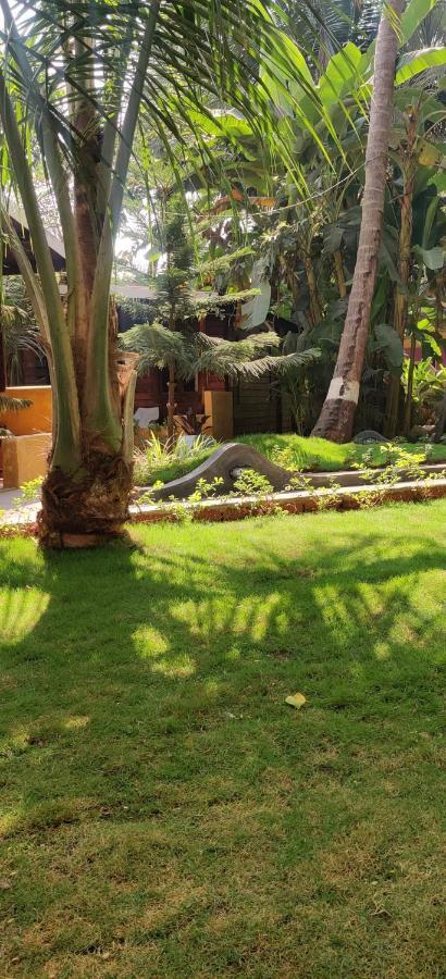 Tattvam On The Beach - Retreat And Spa Arambol Exterior photo