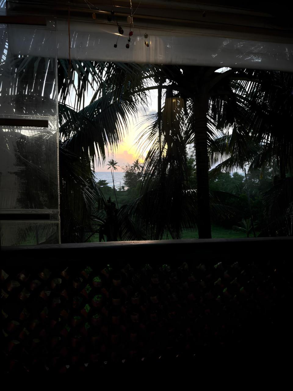 Tattvam On The Beach - Retreat And Spa Arambol Exterior photo